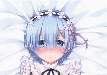 KADOKAWA Re:ゼロから始める異世界生活 レム 抱き枕カバー 正規品 [ レム ] 抱き枕カバー 「Re：ゼロから始める異世界生活」公式